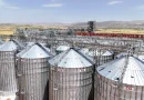 Güncel Kapasite 57.200 Ton Oldu Arpa Buğday Hububat Alımı Başladı