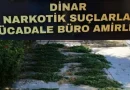 Dinar’da Ormanlık Alanda ‘Uyuşturucu Tarlası’ Ortaya Çıkarıldı