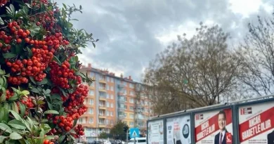 Saadet Partisi Afyonkarahisar’da 7. Olağan İl Kongresi Hazırlıkları Sürüyor