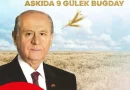 MHP Afyonkarahisar’dan Dayanışma Desteği: Askıda 9 Gülek Buğday