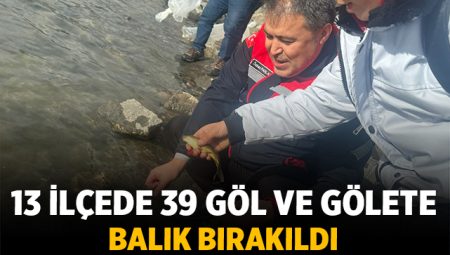 Afyonkarahisar'da 13 ilçede 39 göl ve gölete balık bırakıldı