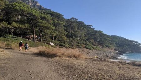 Fethiye'de çantayı kurtarmak isterken canından oluyordu!