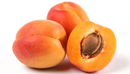 Bitkisel ürünlerde en fazla yeterlilik kayısı ve zerdalide