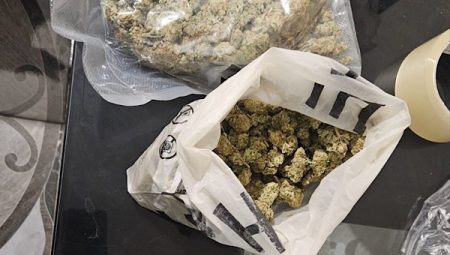 Bulgaristan’da Montana ve Lom bölgelerinde operasyon düzenlendi