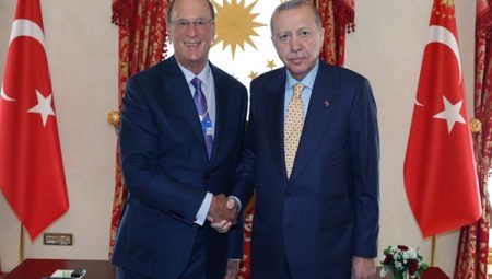 Cumhurbaşkanı Erdoğan, BlackRock CEO’su Fink’i kabul gördü