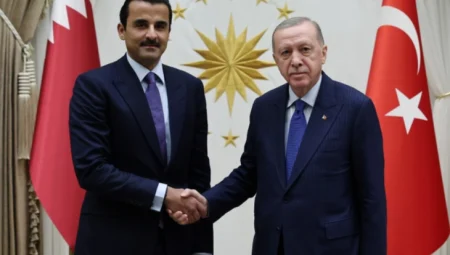 Cumhurbaşkanı Erdoğan ile Katar Emiri Al Sani ile müzakere etti