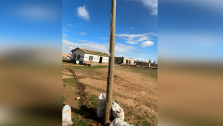 Direği oyup kaçak hat çektiler