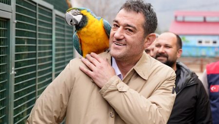 Giresun Belediye Hayvanat Bahçesi’nde hayvan türleri artırılıyor