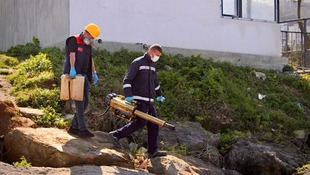 Giresun’da ilaçlama çalışmaları artık hayata geçiyor