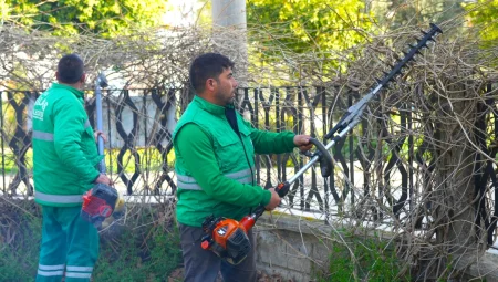 Ilkbahar bakımları sürüyor – Muğla Milas’ta