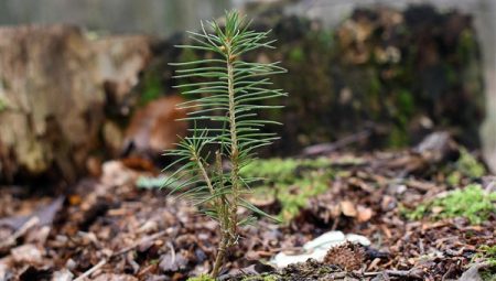 İstanbul’da İşte o inanılmaz sayı: $0