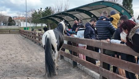 Kayseri’de Hayvanat Bahçesi ziyaretçi akınına uğradı