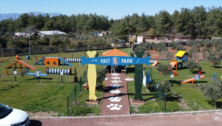 Kepez’de Pati Park açıldı