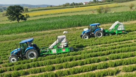 Kırsal üretimde Büyükşehir’in izi var: Kocaeli’de carpici gelisme