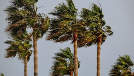 MGM: Güneybatıda kuvvetli rüzgar ve fırtına bekleniyor