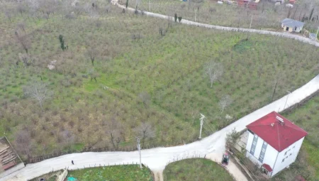 Ordu Büyükşehir’den Kumru’da yol seferberliği