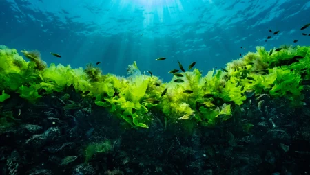 Prof. Dr. Sarı: Suya şaşı bakmayalım