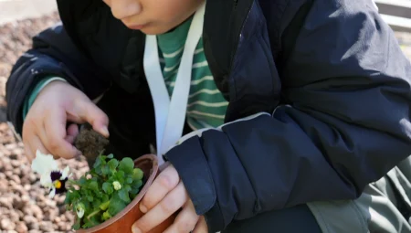 ‘tarım parkı’ minikleri ağırladı: İstanbul Maltepe’de carpici gelisme