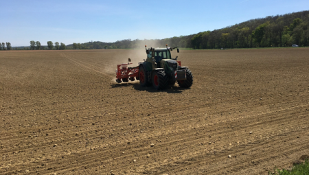 TÜRİB’de buğday ve mısır fiyatları yatay seyretti, arpa geriledi