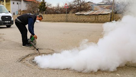 Van’da haşereyle mücadelede kış mesaisi resmen sona erdi