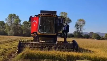 Yeni üretim sezonu için tohum ve fideler hazır: İstanbul’da carpici gelisme