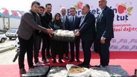 Adana’da üreticiye İşte o inanılmaz sayı: $0