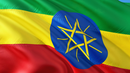 Ali: Ethiopia hızla inşa ediliyor, toplumsal kalkınma temel taşıdır