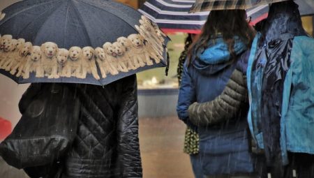 Ankara Valiliği’nden kuvvetli yağış uyarısı