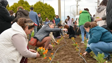 Balıkesir Büyükşehir’den tıbbı ve aromatik bitkiler yetiştiriciliği kursu