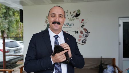 Başkan Kotan: Bu güzel can dostlarımıza sahip çıkalım