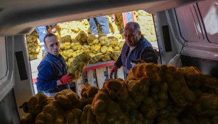 Büyükşehir, 60 bin haneye patates dağıtımına artık hayata geçiyor