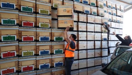 Büyükşehirden arıcılığa kovan desteği