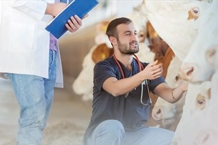 Denizli Büyükşehir’den üreticiye sahada yardım