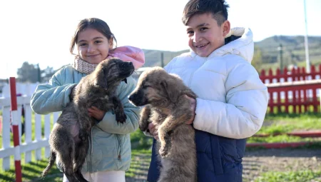 Doğa ve patili dostlar İzmir’de şifa dağıtıyor