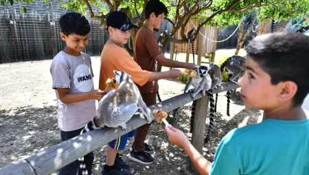Doğal Yaşam Parkı öğrencilere ücretsiz olacak – İzmir’de