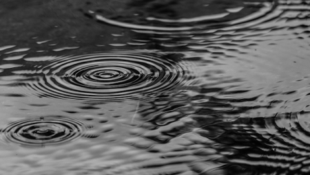 Doğu Karadeniz için kuvvetli yağış uyarısı