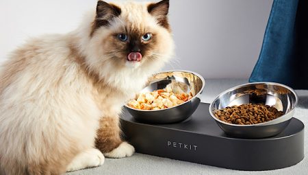 EVOFONE’dan evcil hayvan sahiplerine büyük olanak!