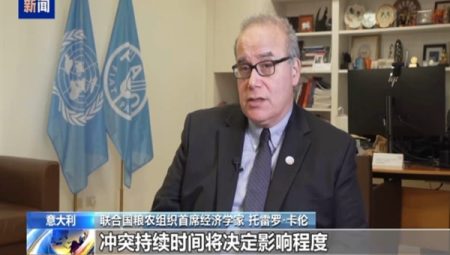 FAO Başekonomisti: Ortadoğu’daki çatışmalar tarımsal üretim maliyetini artırıyor