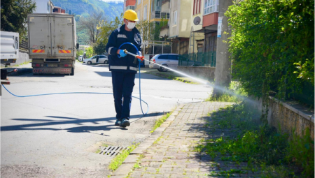 Giresun’da kahverengi kokarcaya karşı ilaçlama resmen devreye girdi