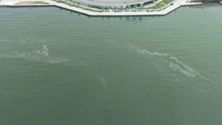 İzmir Körfezi’nde kirlilikte 10’uncu tespit