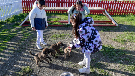 İzmir’de Çarpıcı rakam: $0