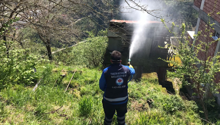 Kahverengi kokarca mücadelesi: Trabzon’da carpici gelisme