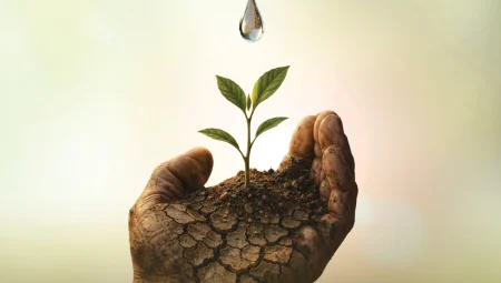 Köy Tiyatroları Festivali başlıyor: İzmir’de carpici gelisme