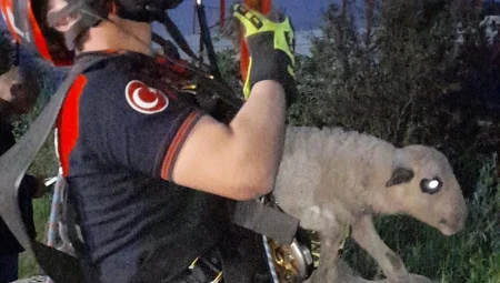 Kuyuya düşen kuzuya İzmir İtfaiyesi’nden nefes kesen kurtarma