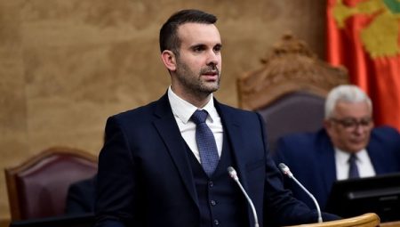 Spajic: Tüm tartışma aşamalarını tamamlamaya hazırız