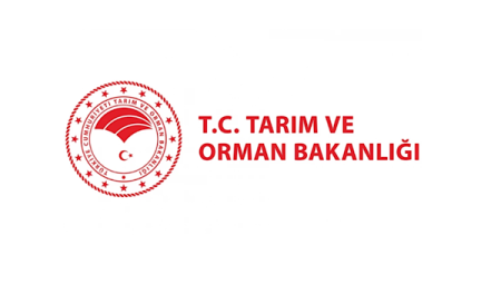 Tarım ve Orman Bakanlığı’ndan Tarsus’taki marul videolarına ilişkin duyuru