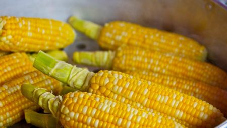 Ticaret Bakanlığı’ndan mısır ithalatına yeni düzenleme