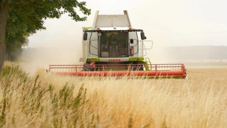 TÜİK-Tarımsal girdi fiyat endeksi yıllık %31,55 genişledi