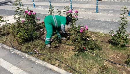 Bayram öncesi bakım – Muğla Milas’ta