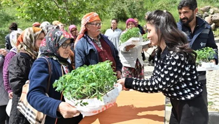 İzmir Bornova’da Çarpıcı rakam: $0